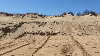 Новата власт трябва да изтръгне България от ръцете на "разбойниците"