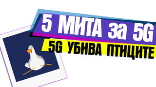 Мит: 5G убива птиците