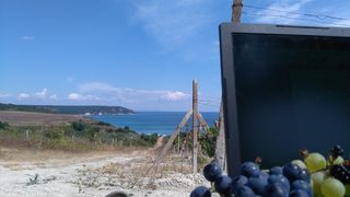 Съветът по биоразнообразието решава днес за защитата на Паша дере, Карадере и Корал
