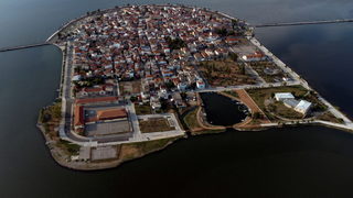 Фотогалерия: Да спасиш морско <span class="highlight">конче</span>