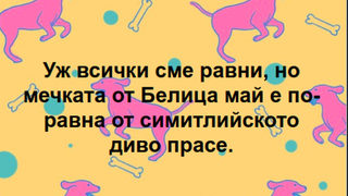 "Ами ако точно това <span class="highlight">диво</span> <span class="highlight">прасе</span> е застрашавало националната сигурност?"