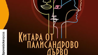 "Китара от палисандрово дърво" на Кристина Гавран (откъс)