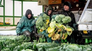 По £15 на час, но пак няма кой да работи: над 1 милион незаети места във Великобритания
