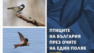 Птиците на България през очите на един <span class="highlight">поляк</span>