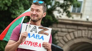 "Служебният кабинет много иска диверсификация, но няма желание"