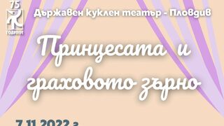 Принцесата и граховото зърно /Нов театър НДК/