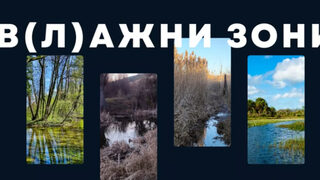Как една влажна зона е полезна за биоразнообразието