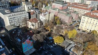 ГЕРБ дава заден: Ще намалява сечта на дървета до Народния театър