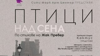 Птици над Сена