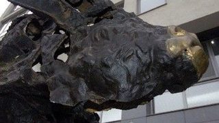 БФБ ще се готви за търговия със сертификати*
