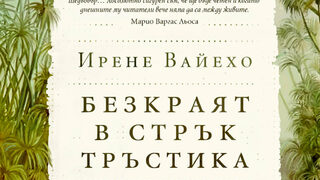 "Безкраят в стрък тръстика" на Ирене Вайехо (откъс)