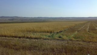 Книжата на "<span class="highlight">Сток</span> <span class="highlight">Плюс</span>" се въвеждат за търговия идната сряда 