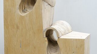 Homo Lignum/Сглобеният човек