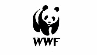 След "Грийнпийс": Русия обяви и <span class="highlight">WWF</span> <span class="highlight">за</span> нежелана организация