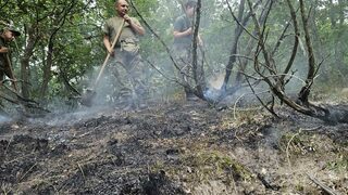 При изпитания на боеприпаси избухна пожар на военния полигон "<span class="highlight">Змейово</span>"