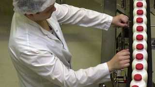 Млекари: Помощите <span class="highlight">за</span> животновъдството не стигат 