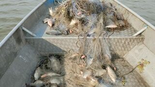 Зоопаркът в Бургас се сдоби с 550 кг риба, конфискувана от бракониери
