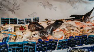 "Бакхус Fish Fest": гладна маймуна хоро не играе
