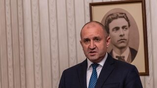 Президентът сезира Конституционния съд заради новите правила за зелените централи