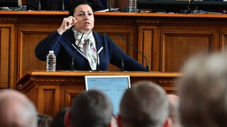 Десислава Танева е съгласна с президента, но не и с колега: зелени централи не трябва да се строят в ниви