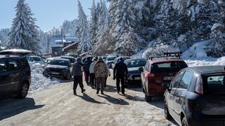 Одит на Сметната палата откри нередности в управлението на парк "Витоша"