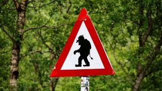 Четири правила за борба с троловете