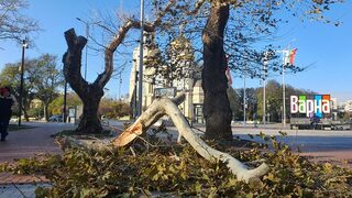 Фотогалерия: Варна след бедствието