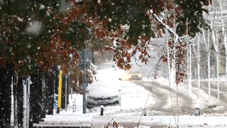 Десетки селища около Русе са без ток, пътят към Бяла е затворен