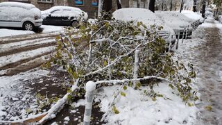 В София няколко пъти улиците са обработени срещу лед, отстранени са паднали клони