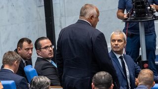 ГЕРБ търси подкрепа за сваляне на управителя на здравната каса, но на управлението - не