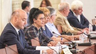 Експерти: Предложения за поправки в конституцията са противоконституционни
