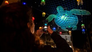 Фотогалерия: "Малките пет кьошета" отново заблестяха с нестандартна коледна украса