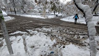 Заради снеговалеж е затворен Троянски проход, движението през Предела е затруднено