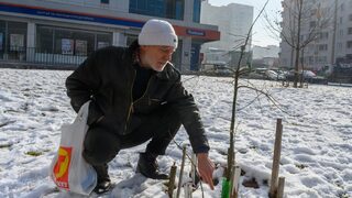 "Първата ми любов е чинарът": Лесовъд сам сади дръвчета из цяла София