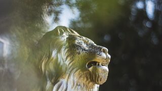 Смяната на историците. Как нещо маргинално в България може да е мейнстрийм в чужбина