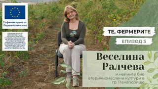 "Те, фермерите": Етеричномаслените култури на Веселина Ралчева (видео)