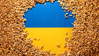 България и съседите на Украйна поискаха вносни мита за украинско зърно