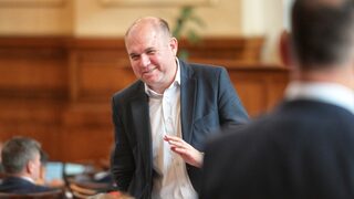 Бившият съпредседател на "Зелено движение" Владислав Панев създава неполитически клуб