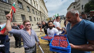 Земеделски производители излизат на протест в София