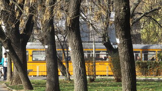 Възстановено е осветлението в Южния и в Западния <span class="highlight">парк</span>