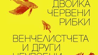 Търсачество и прекрачване на граници