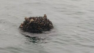 Руска мина е била унищожена в морето край Варна