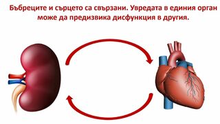 Болните бъбреци разболяват сърцето