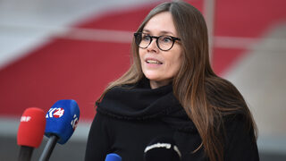 Исландският премиер подава оставка, за да се кандидатира за президент