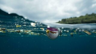 До 11 млн. тона пластмасови отпадъци има на океанското дъно, сочи проучване