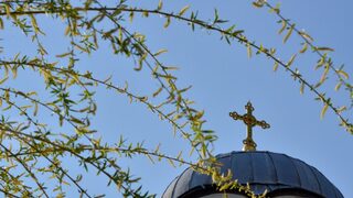 Православният свят чества Цветница