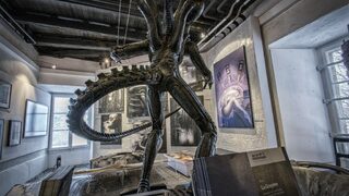 Фотогалерия: Най-страшният бар