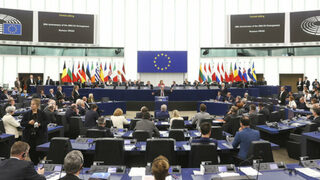 Европарламентът (без двама българи) е обезпокоен от руска намеса в българските избори