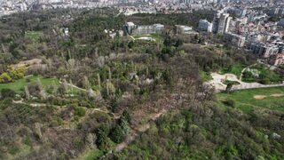 След раходка в Южния парк в София от тялото на дете са махнати повече от 15 кърлежа