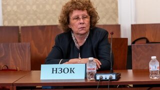 От здравната каса потвърдиха, че са издали две положителни становища за "Мама и аз"